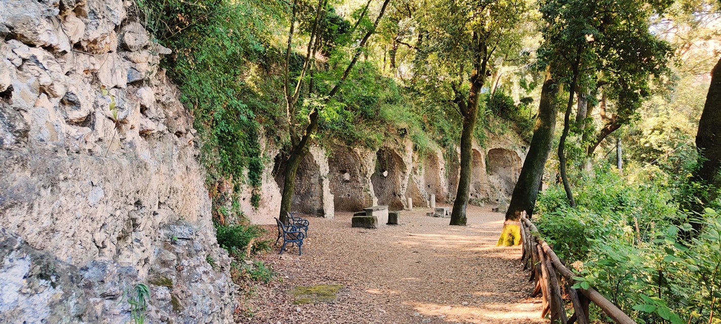 Place Image