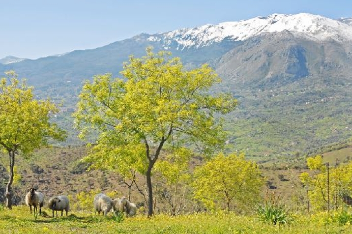 Place Image