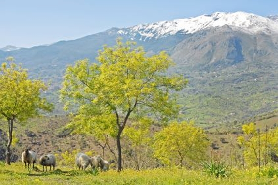 Place Image